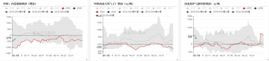 甲醇：港口又又封航了