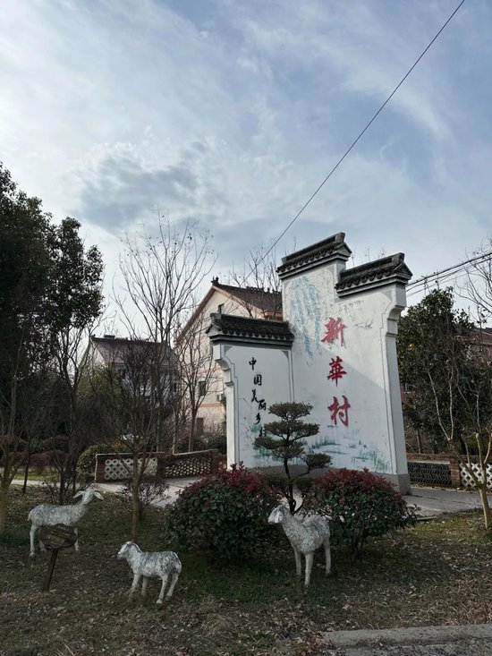 新春走基层|10万人小镇，3家上市公司——浙北小镇产业和金融“协奏曲”